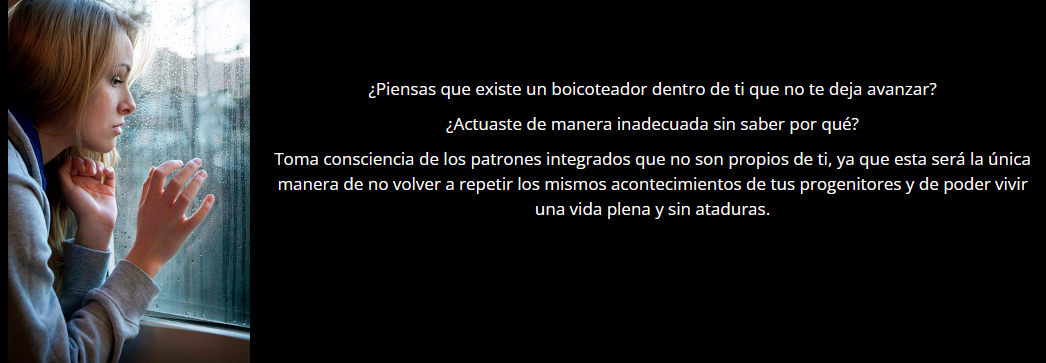 El Apego Blog 3
